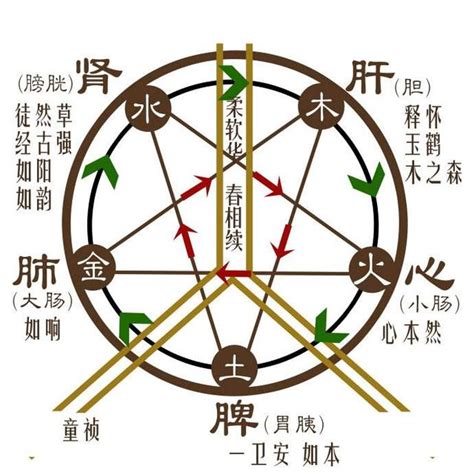 木火金水|为什么人们说五行时的常用的顺序是“金、木、水、火、。